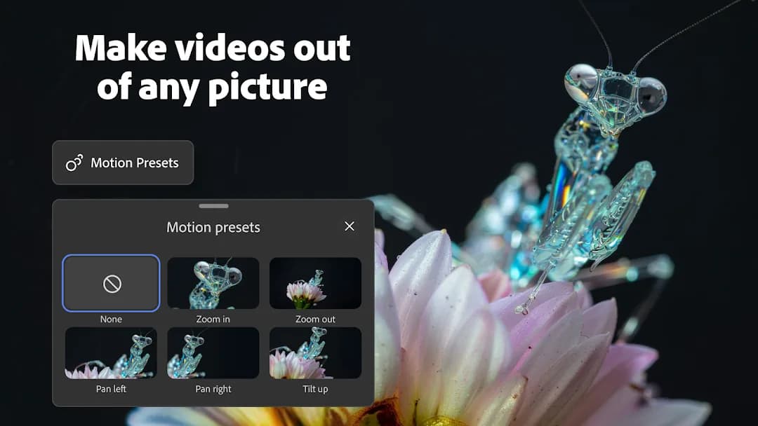 Adobe Firefly مهكر — لقطة شاشة 4