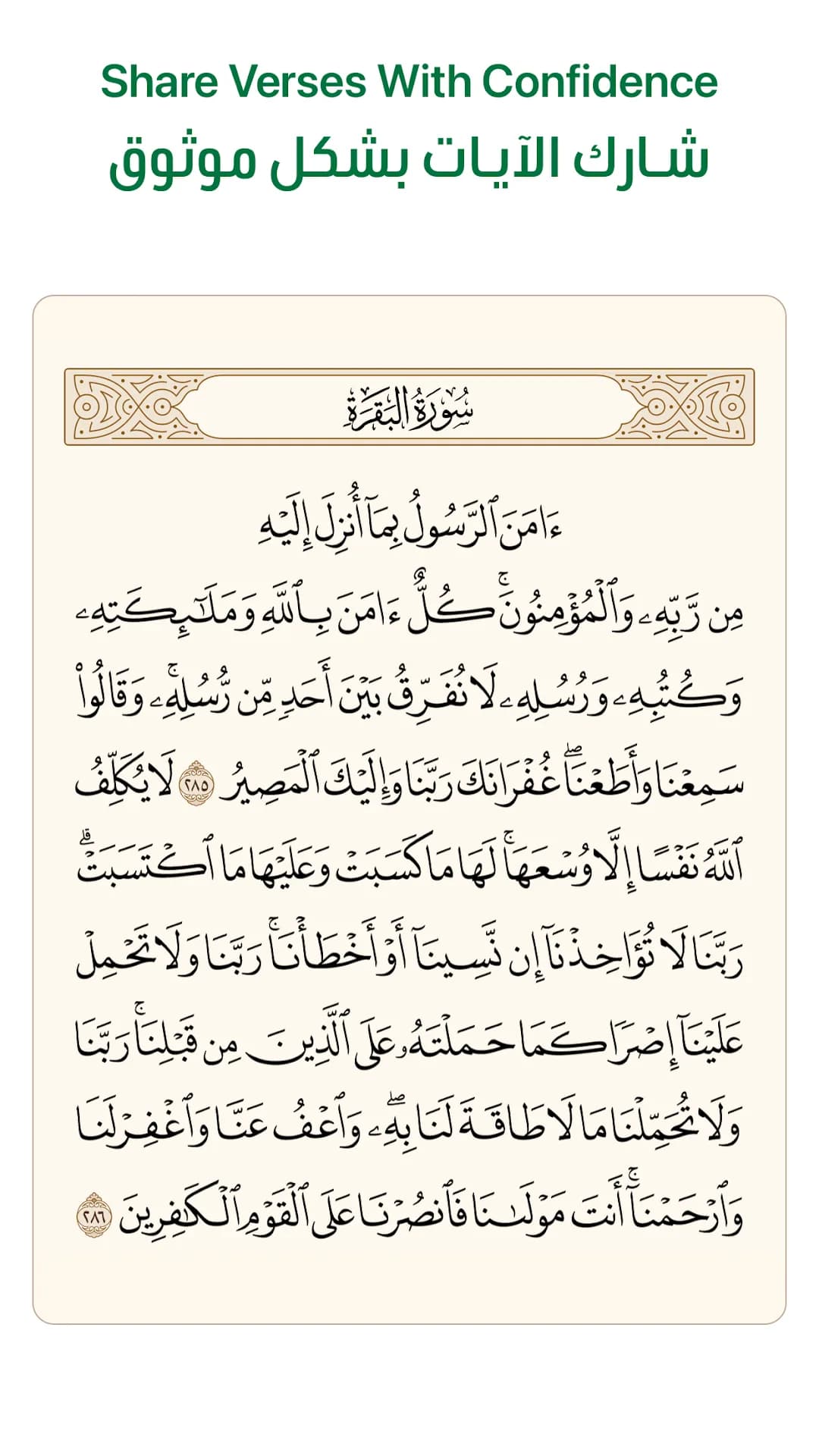 Ayah مهكر — لقطة شاشة 4