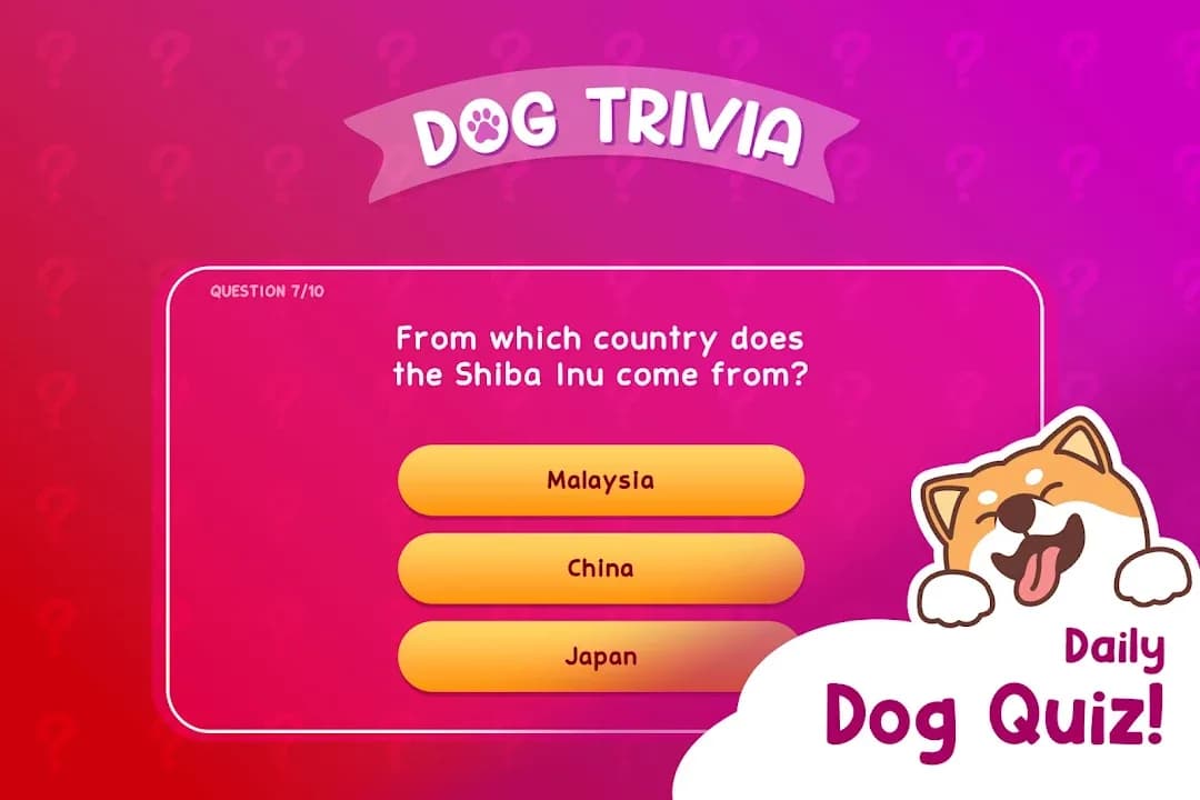 Dog Hotel Tycoon مهكر — لقطة شاشة 8