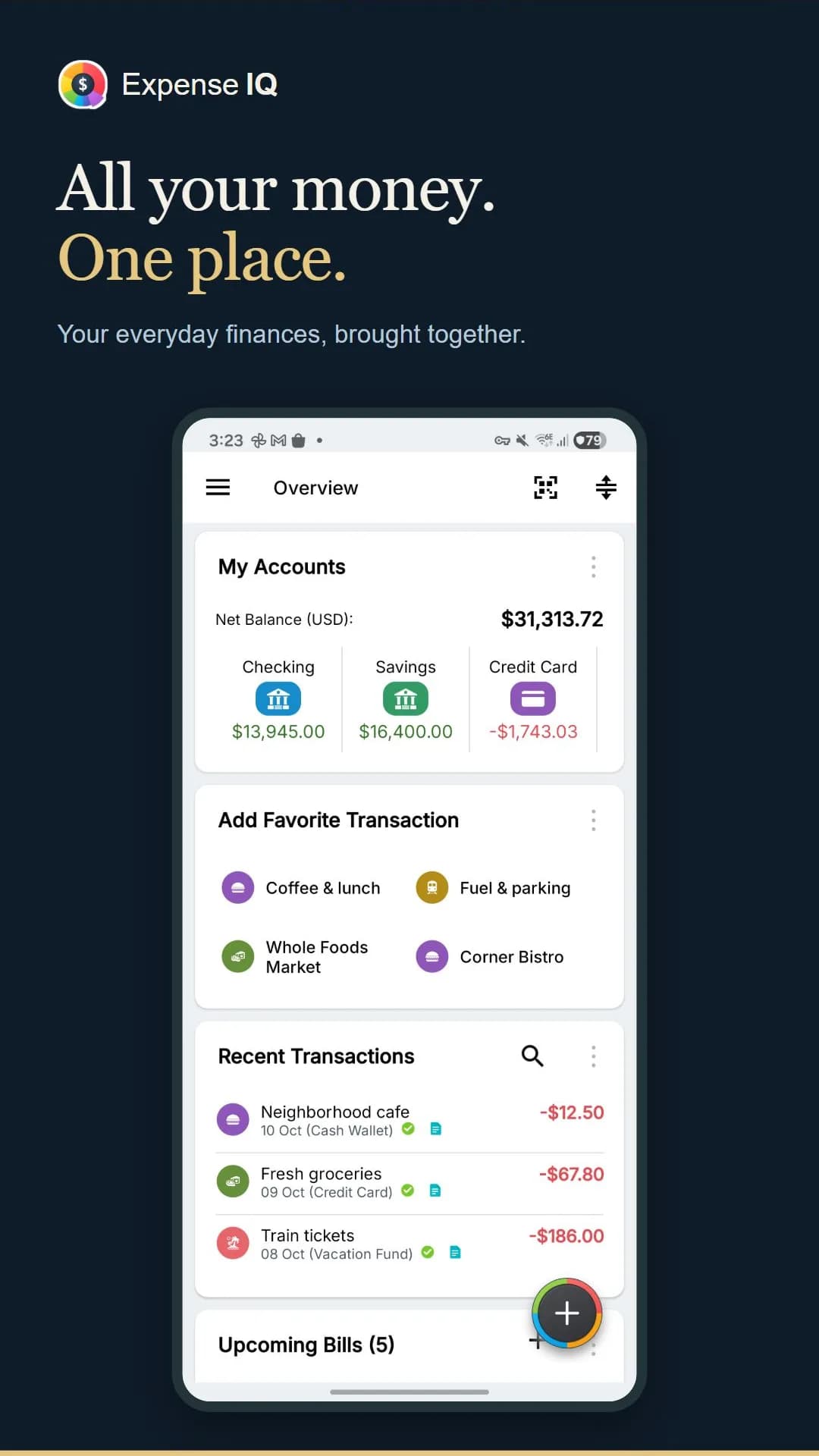 Expense IQ مهكر — لقطة شاشة 1