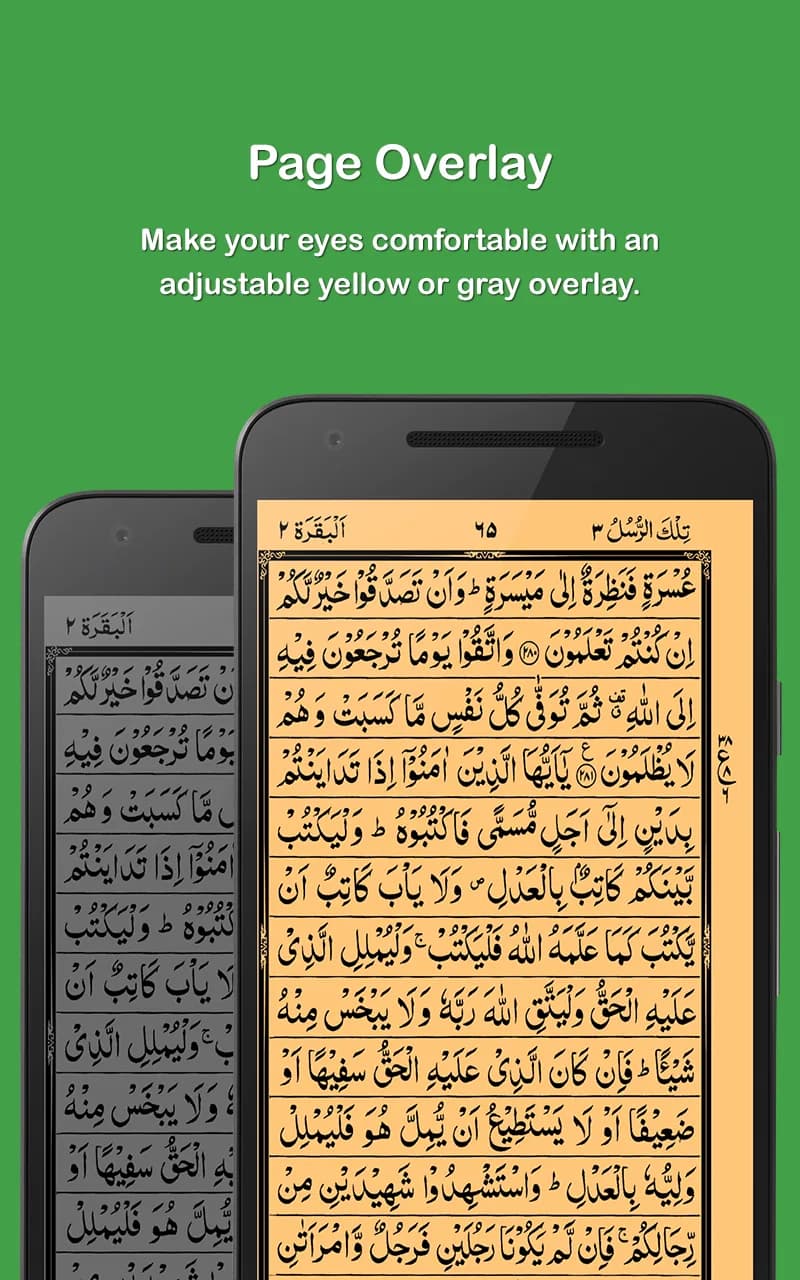 Holy Quran مهكر — لقطة شاشة 5