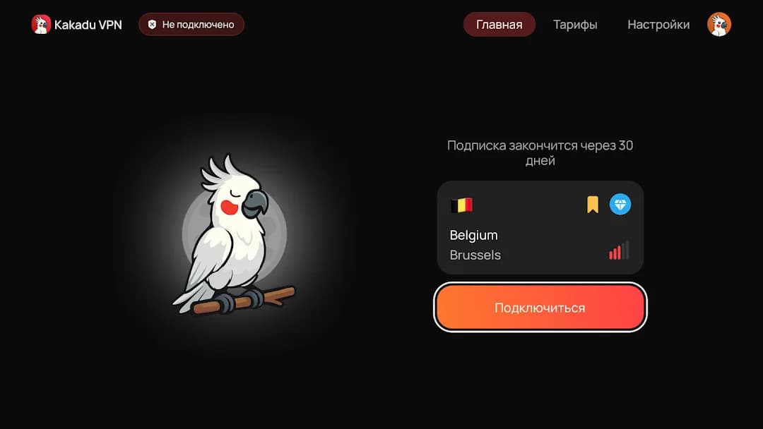 Kakadu VPN مهكر — لقطة شاشة 7