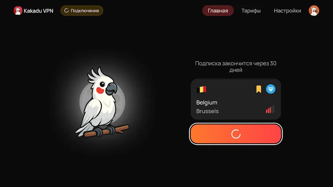 Kakadu VPN مهكر — لقطة شاشة 8
