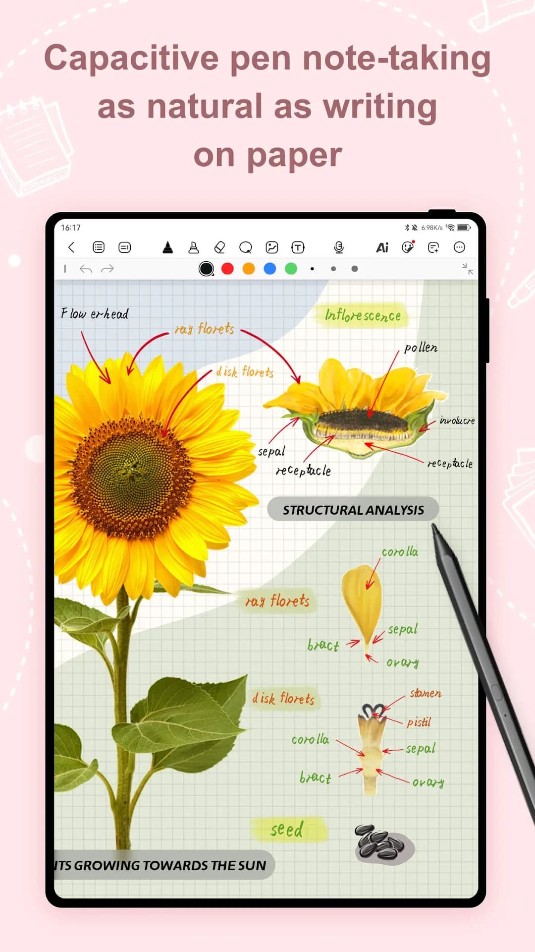 Kilonotes مهكر — لقطة شاشة 5