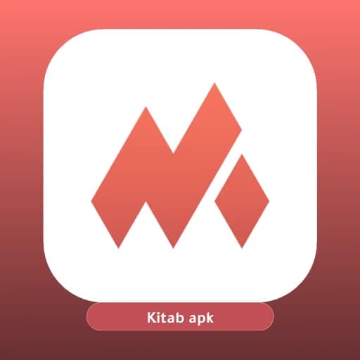 NetMod VPN Client مهكر