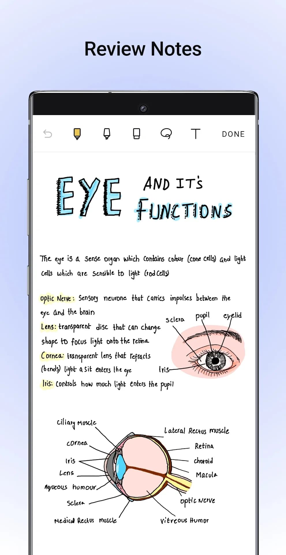 Noteshelf مهكر — لقطة شاشة 1