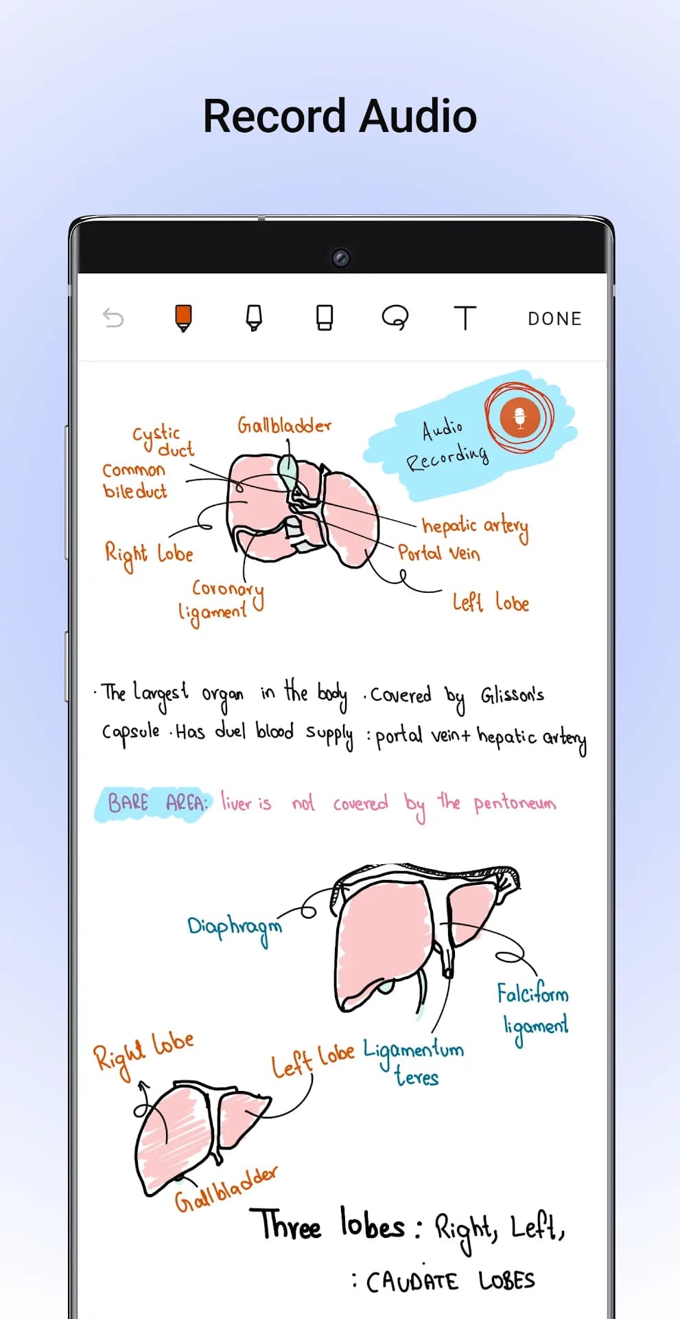 Noteshelf مهكر — لقطة شاشة 4