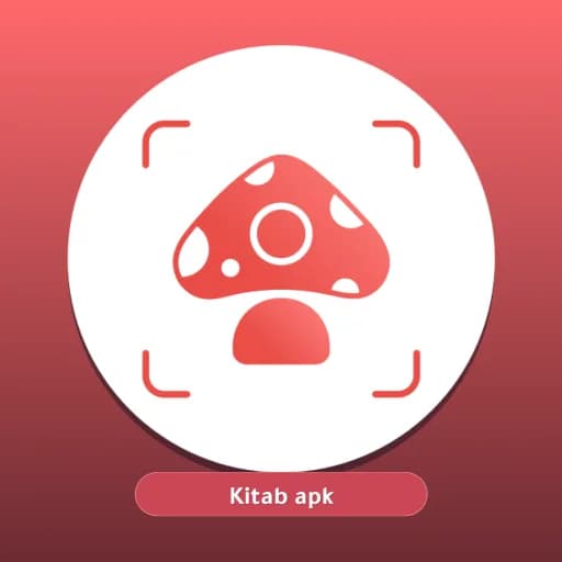Picture Mushroom مهكر