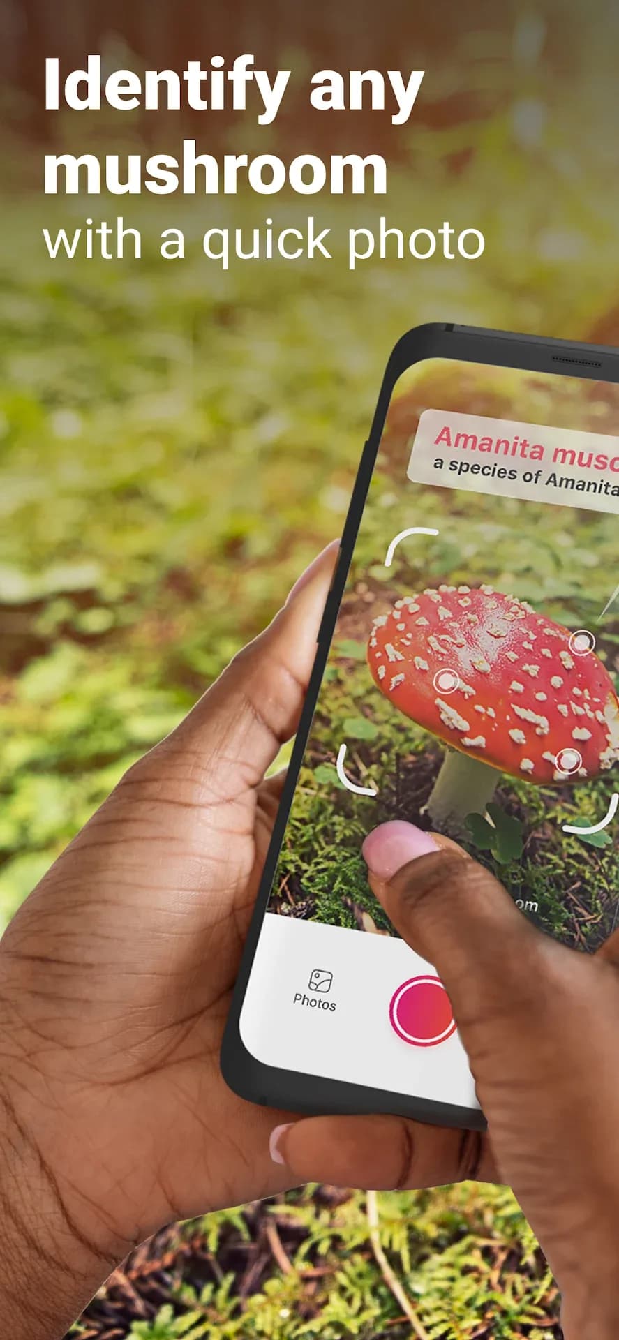 Picture Mushroom مهكر — لقطة شاشة 1