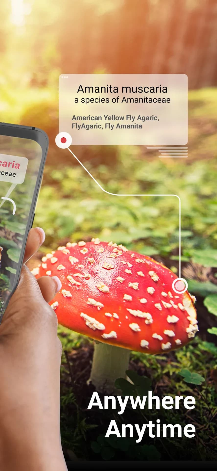 Picture Mushroom مهكر — لقطة شاشة 2