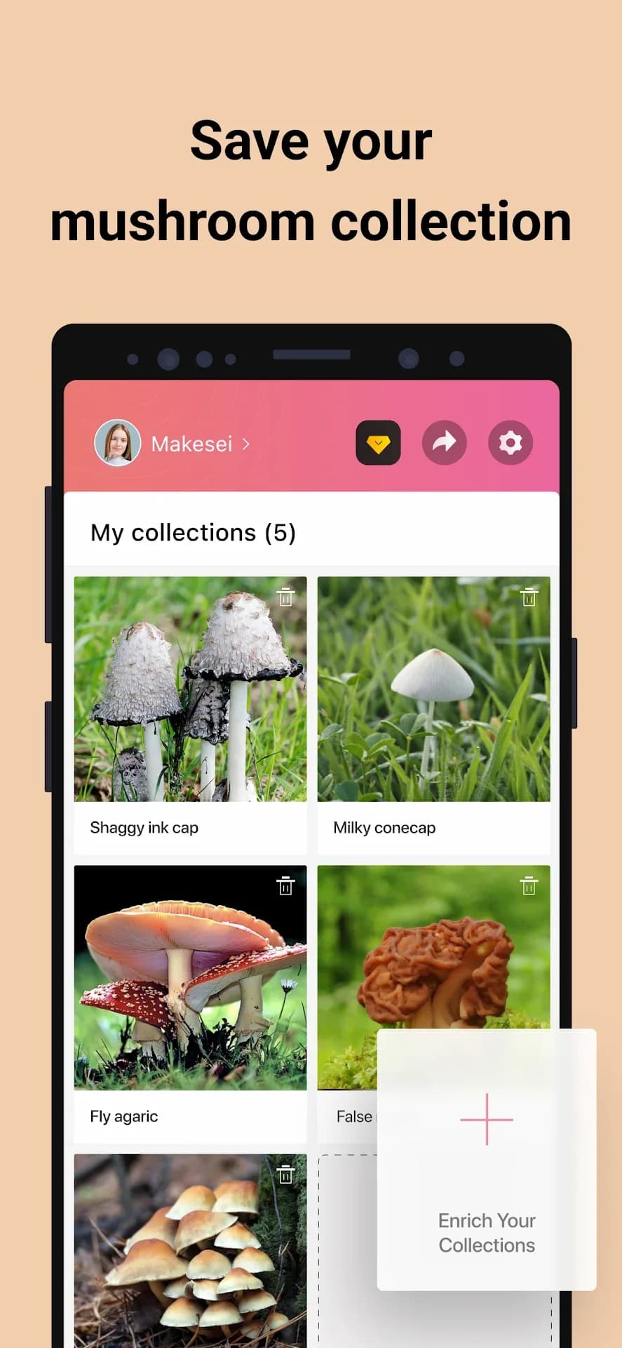 Picture Mushroom مهكر — لقطة شاشة 5