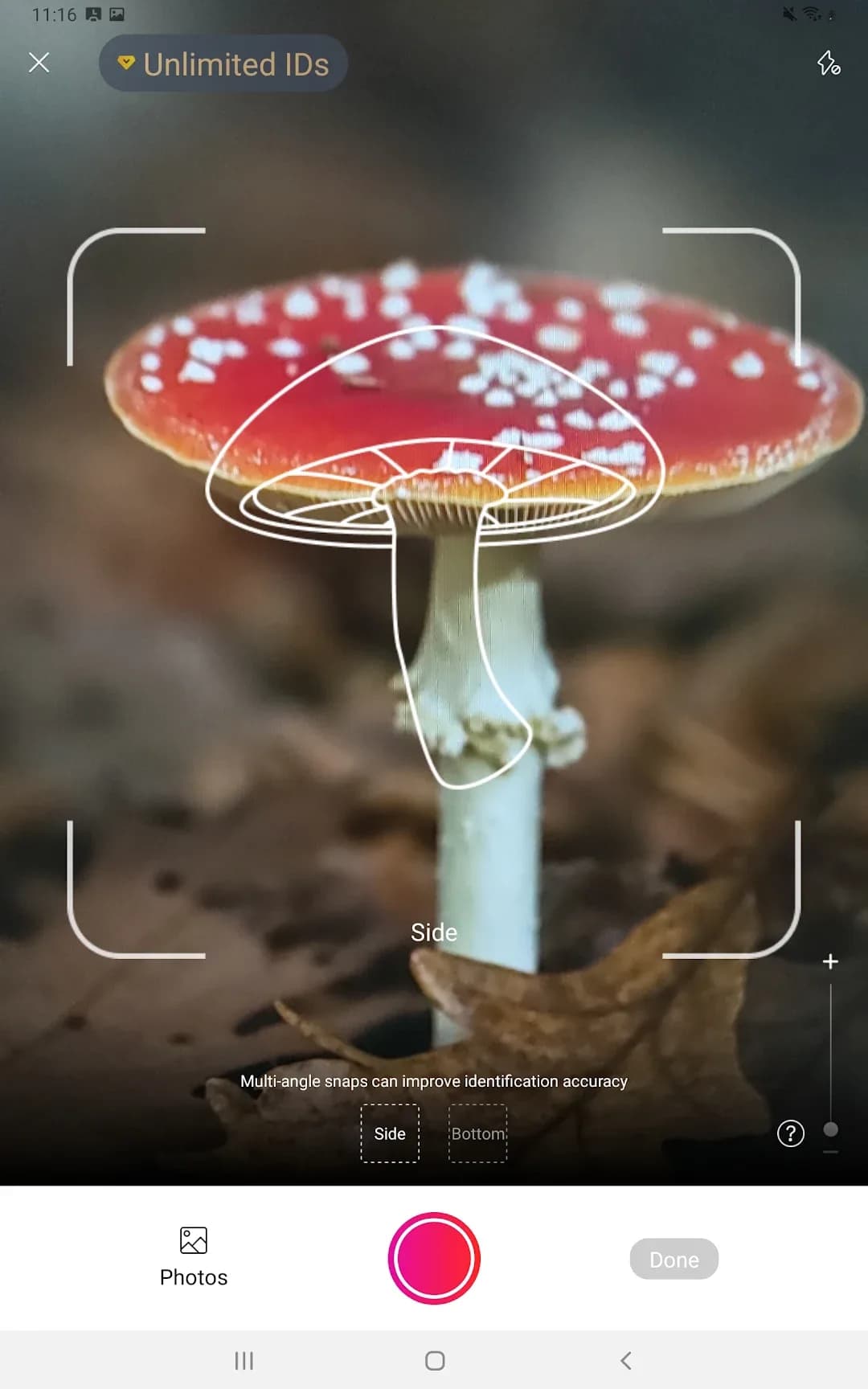 Picture Mushroom مهكر — لقطة شاشة 6