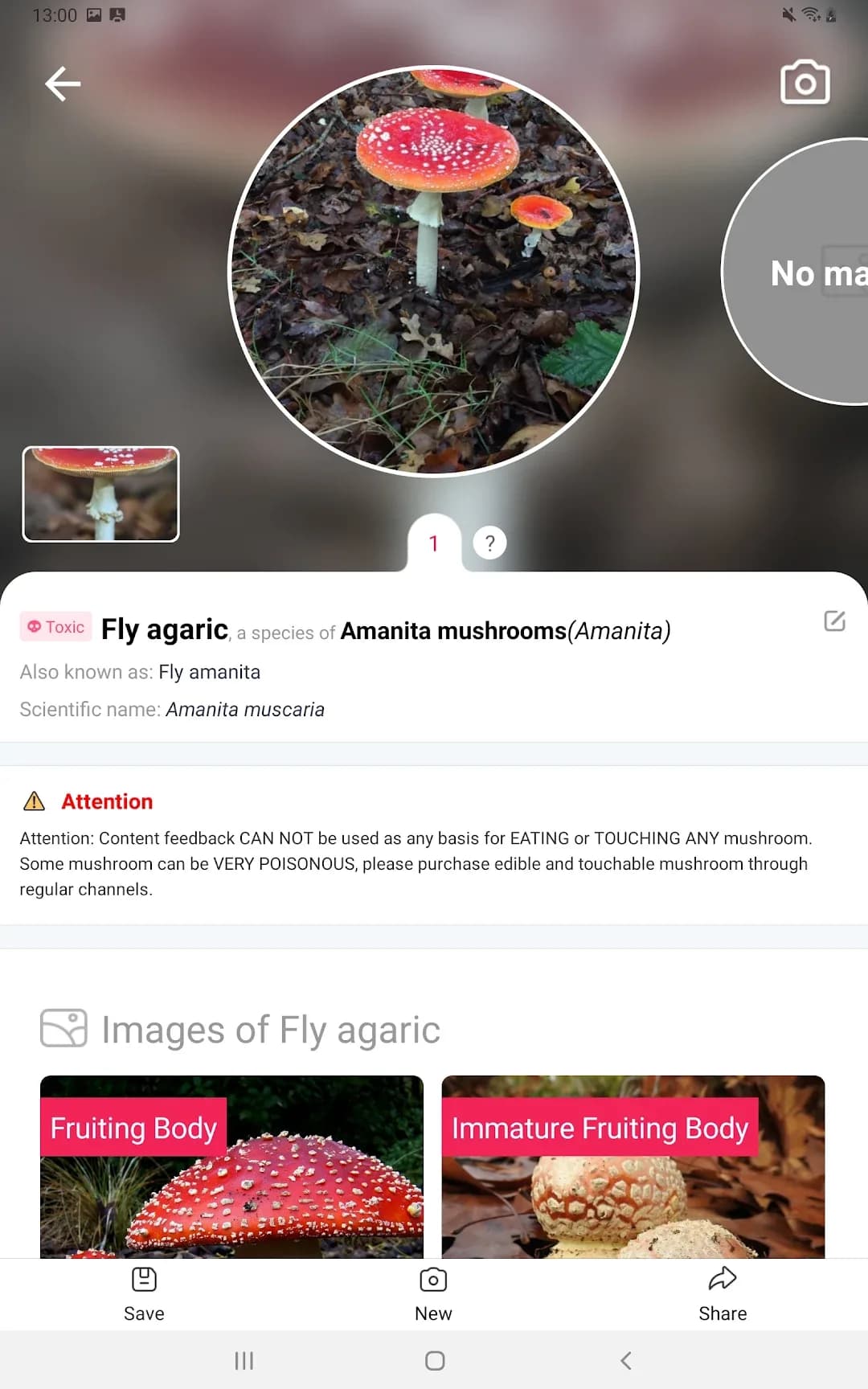 Picture Mushroom مهكر — لقطة شاشة 7