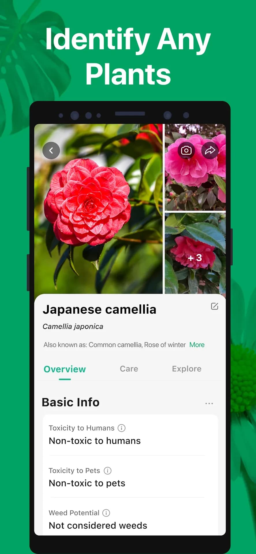 PictureThis مهكر — لقطة شاشة 2