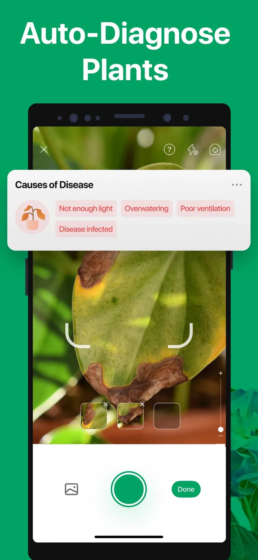 PictureThis مهكر — لقطة شاشة 4
