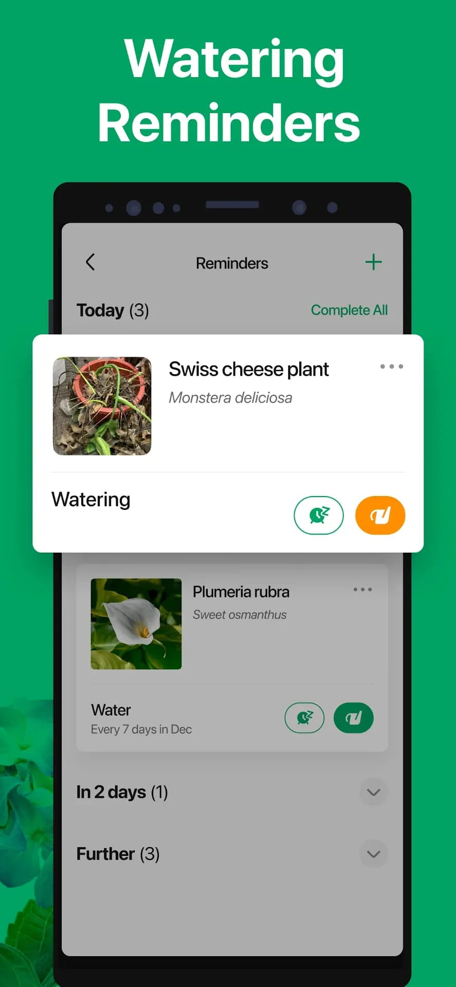 PictureThis مهكر — لقطة شاشة 5