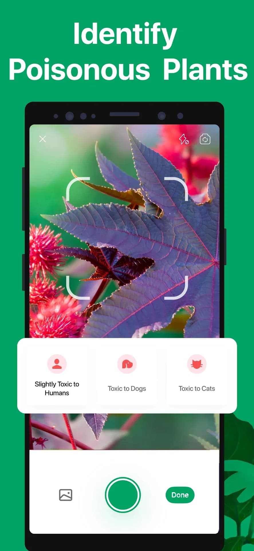 PictureThis مهكر — لقطة شاشة 6