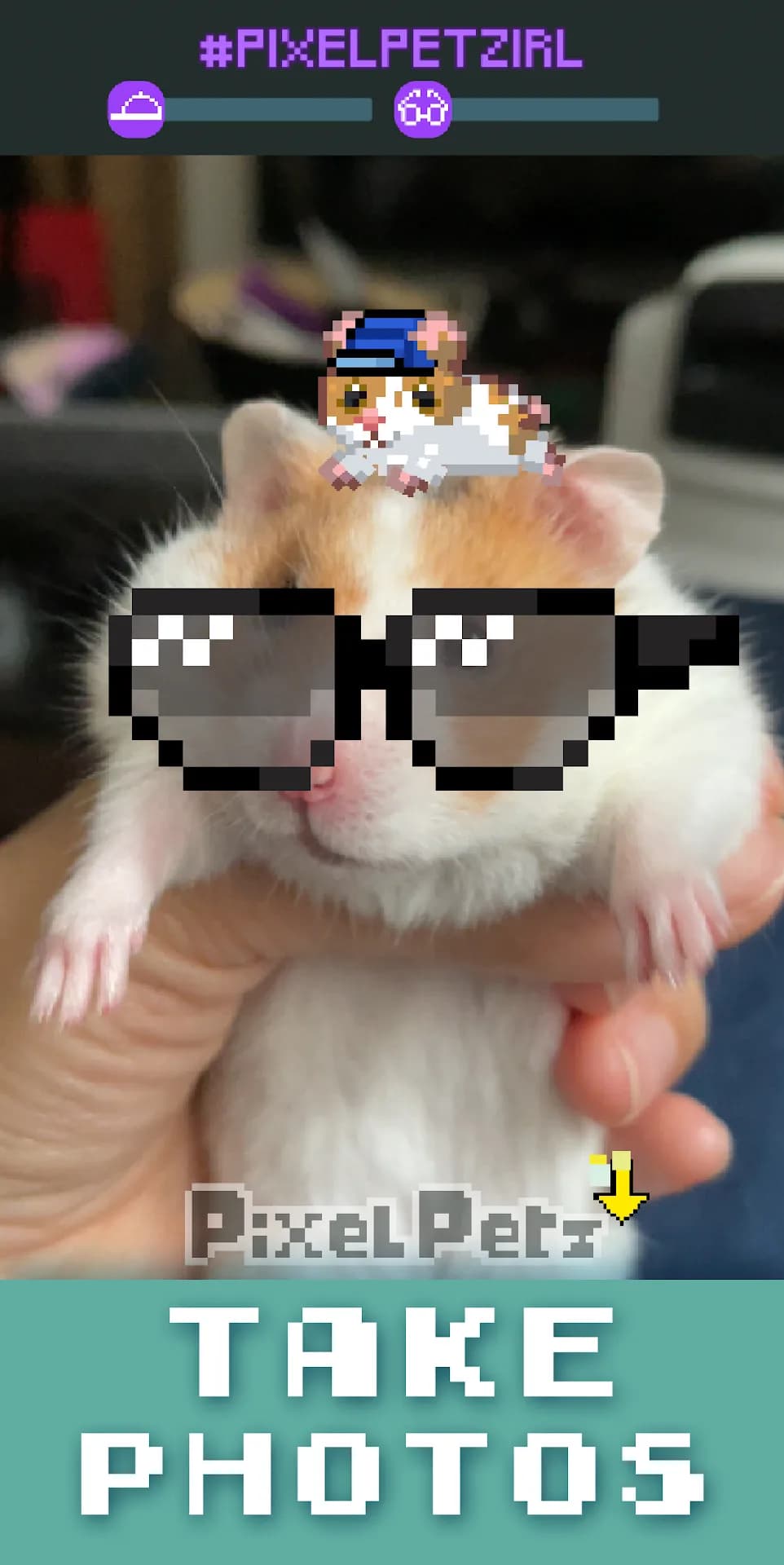 Pixel Petz — Screenshot 4