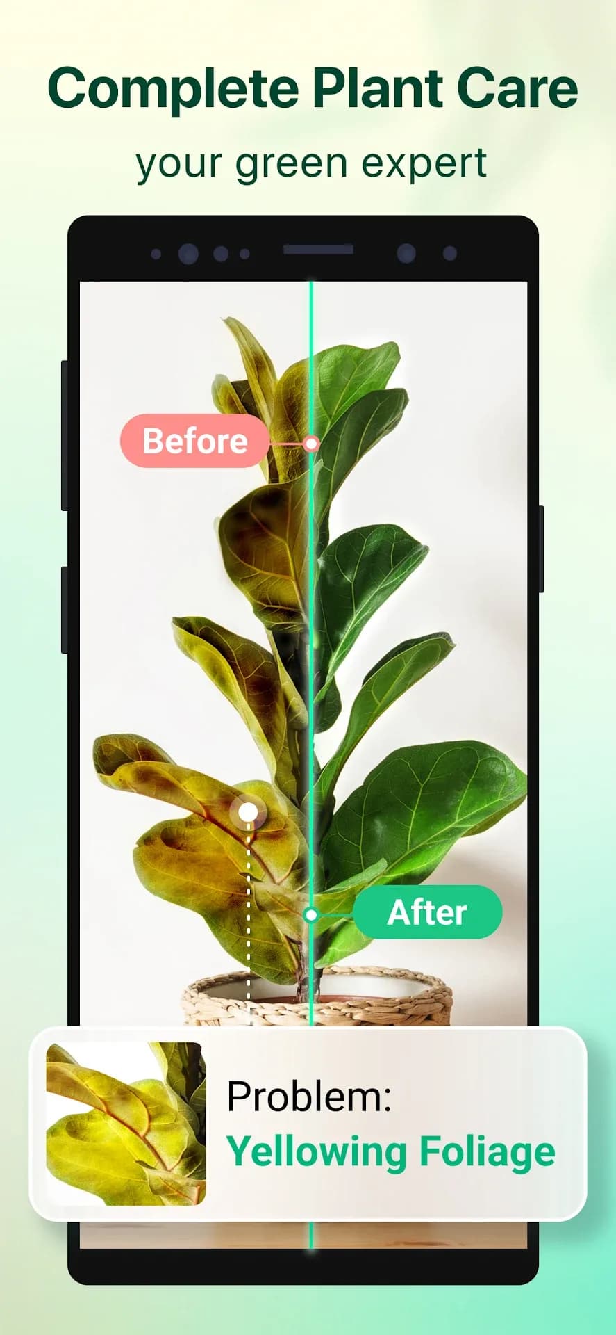 Plant parent مهكر — لقطة شاشة 2
