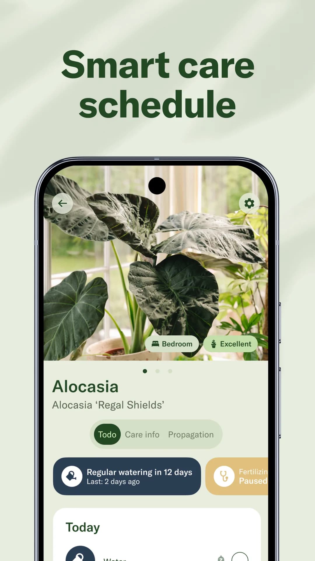 Planta Premium مهكر — لقطة شاشة 2