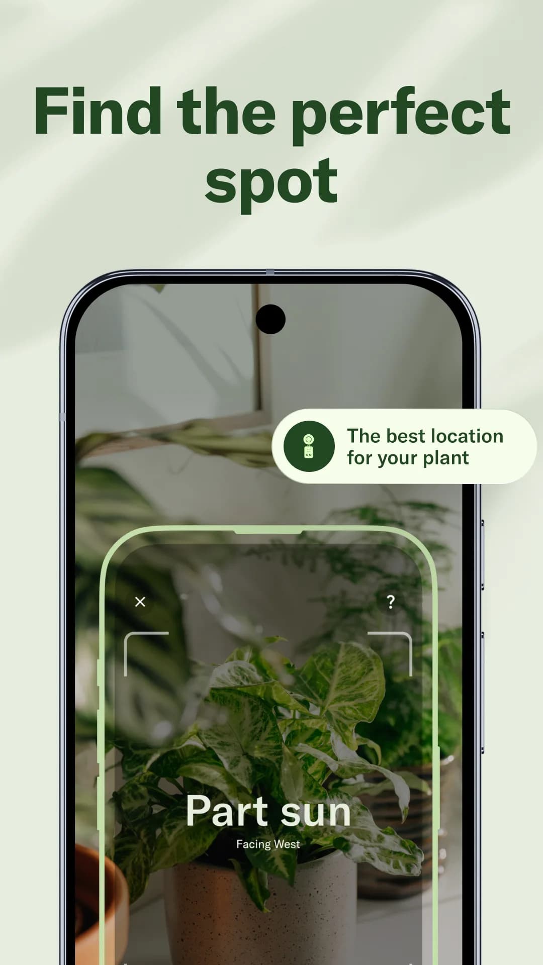Planta Premium مهكر — لقطة شاشة 4