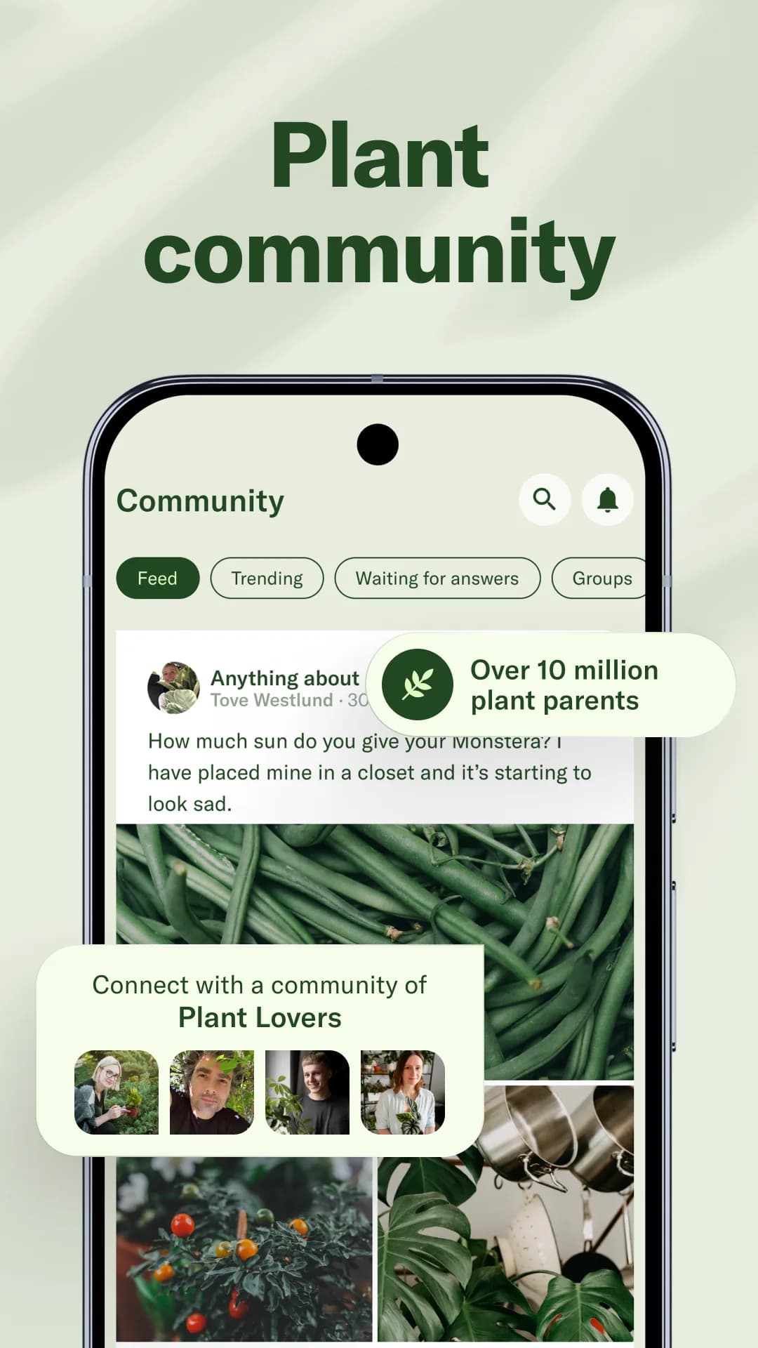 Planta Premium مهكر — لقطة شاشة 6