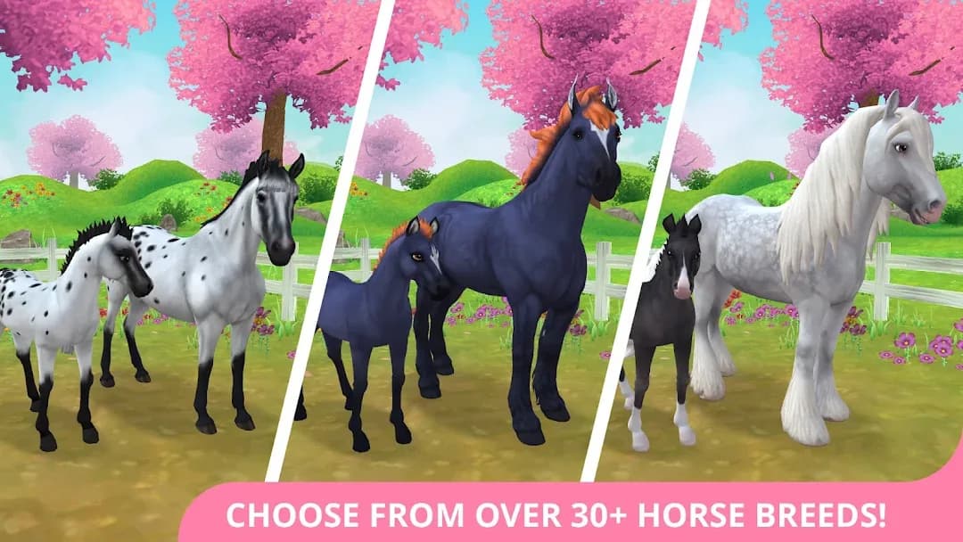 Star Stable Horses مهكر — لقطة شاشة 2