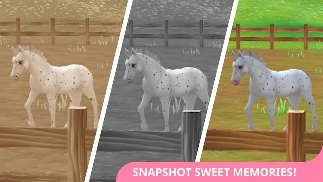 Star Stable Horses مهكر — لقطة شاشة 5