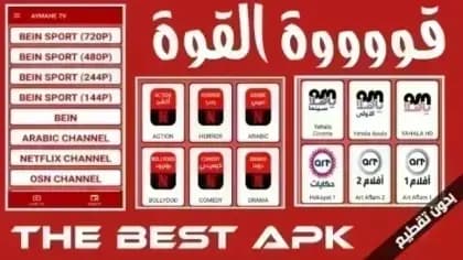 AYMAN TV مهكر — لقطة شاشة 8
