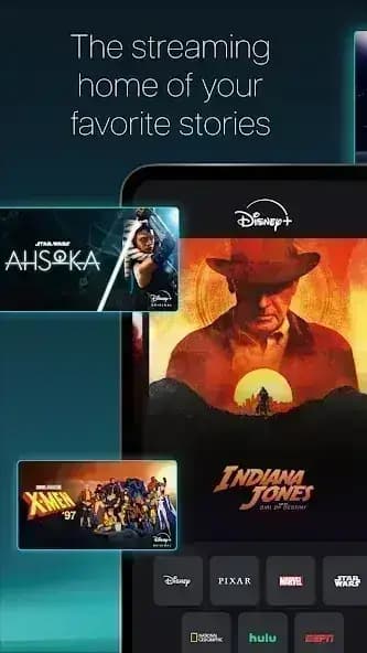 Disney+ مهكر — لقطة شاشة 1