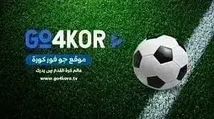 Go4kora مهكر — لقطة شاشة 3