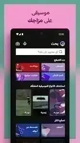 Spotify مهكر — لقطة شاشة 13