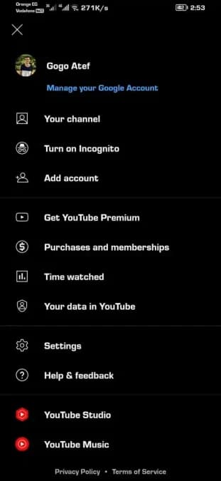 YouTube Gold مهكر — لقطة شاشة 3