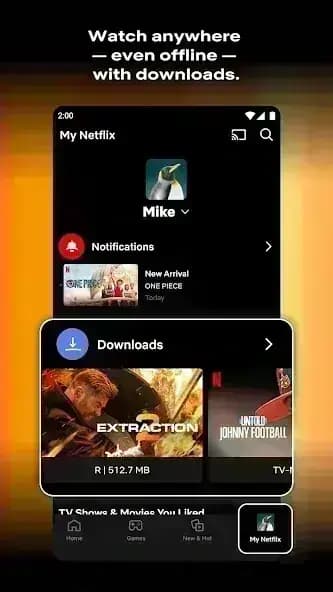 Netflix Premium مهكر — لقطة شاشة 2