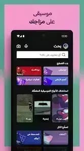 Spotify مهكر — لقطة شاشة 1