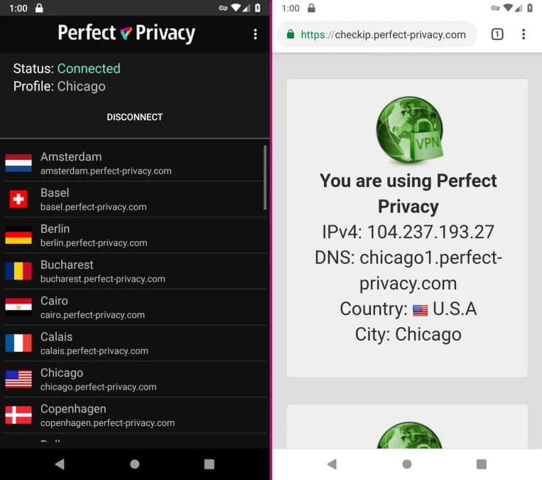 Perfect Privacy VPN مهكر — لقطة شاشة 8