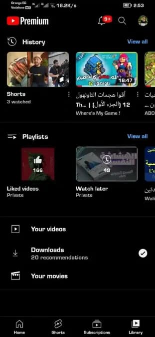 YouTube Gold مهكر — لقطة شاشة 6