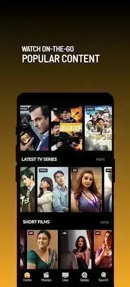 Picasso TV مهكر — لقطة شاشة 2