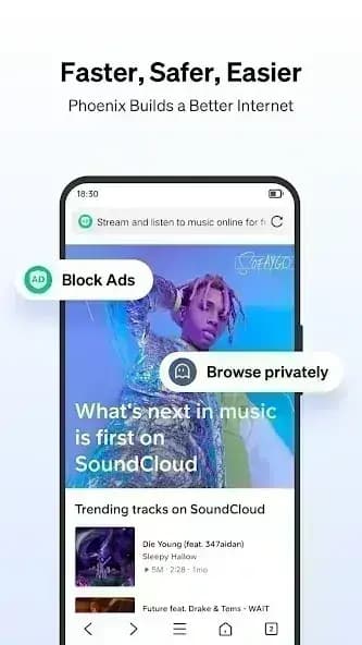 Phoenix Browser مهكر — لقطة شاشة 4