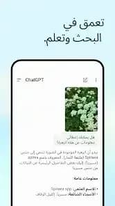 Chat GPT Arabic مهكر — لقطة شاشة 5