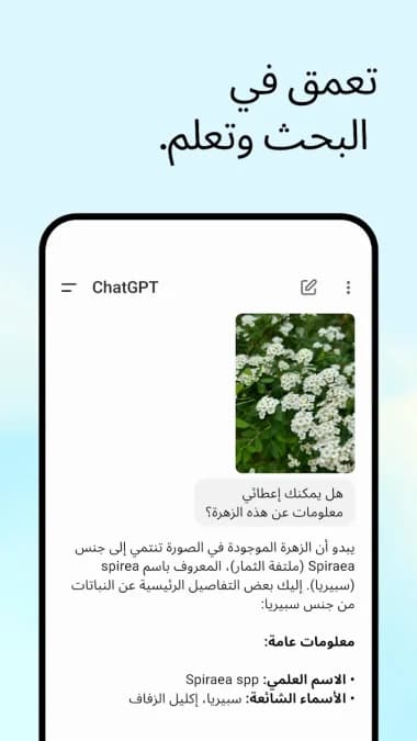 AI ChatGPT مهكر — لقطة شاشة 2
