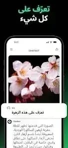 Chatbot AI مهكر — لقطة شاشة 1