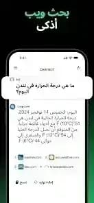 Chatbot AI مهكر — لقطة شاشة 3