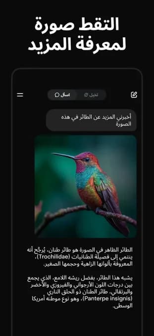 Grok AI مهكر — لقطة شاشة 12