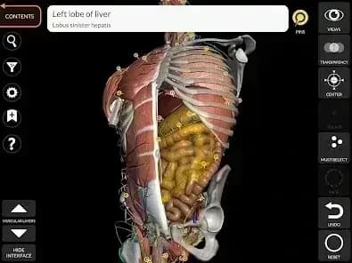 3D Anatomy مهكر — لقطة شاشة 1