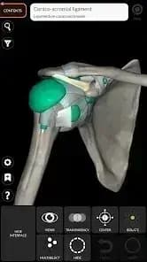 3D Anatomy مهكر — لقطة شاشة 5
