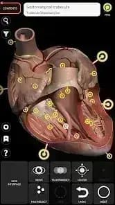 3D Anatomy مهكر — لقطة شاشة 6