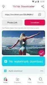 Tmate TikTok مهكر — لقطة شاشة 4