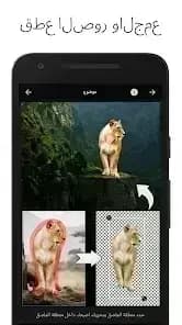 LightX Pro مهكر — لقطة شاشة 5