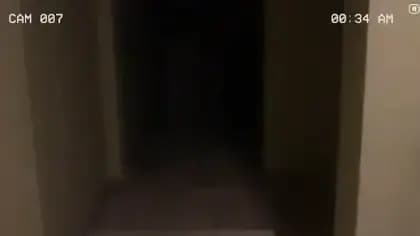 Paranormal Inc — لقطة شاشة 2
